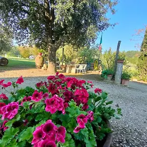 Azienda Agricola Polveraia San Gimignano
